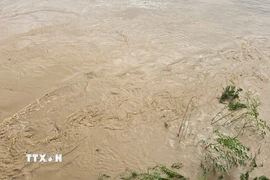 Nước lũ từ đầu nguồn ào ạt đổ về gây lũ cao trên sông Hồng, đoạn chảy qua phường Lào Cai. (Ảnh: Hương Thu/TTXVN)