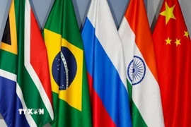 Quốc kỳ các quốc gia thành viên BRICS. (Ảnh: Getty Images/TTXVN)