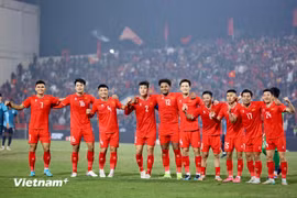Việt Nam tăng 5 bậc lên vị trí 103 thế giới. (Ảnh: Hoài Nam/Vietnam+)