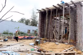 Ảnh minh họa. (Ảnh: Nguyễn Công Hải/TTXVN)