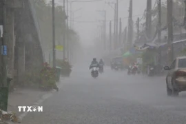 Khu vực Bắc Bộ, Trung Bộ chiều tối và đêm có khả năng xảy ra mưa dông. (Ảnh: Duy Khương/TTXVN)