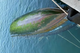 Chiếc thuyền bị lật, trôi dạt vùng biển đặc khu Cồn Cỏ. (Nguồn: Biên phòng Cồn Cỏ)