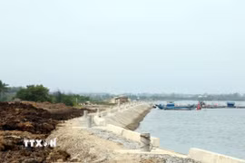 Khu dân cư Tam Quang, xã Núi Thành, thành phố Đà Nẵng đang thiếu mặt bằng. (Ảnh: Trần Tĩnh/TTXVN)
