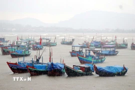 Ảnh minh họa. (Ảnh: Công Tường/TTXVN)