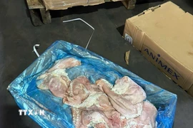 Thực phẩm không rõ nguồn gốc bị Công an phát hiện. (Ảnh: TTXVN phát)