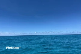 Ảnh minh họa. (Ảnh: Vietnam+)