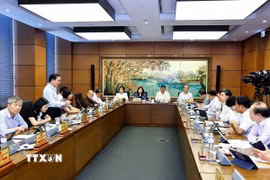 Đoàn đại biểu Quốc hội thành phố Hà Nội thảo luận ở tổ. (Ảnh: Doãn Tấn/TTXVN)