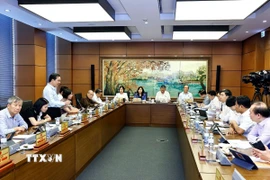 Đoàn đại biểu Quốc hội thành phố Hà Nội thảo luận ở tổ. (Ảnh: Doãn Tấn/TTXVN)