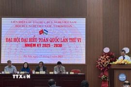 Quang cảnh Đại hội đại biểu toàn quốc lần thứ VI, nhiệm kỳ 2025-2030, Hội Hữu nghị Việt Nam-Uzbekistan. (Ảnh: Hải Ngọc/TTXVN)