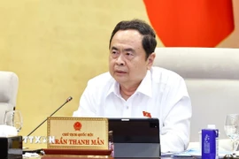 Chủ tịch Quốc hội Trần Thanh Mẫn phát biểu. (Ảnh: Doãn Tấn/TTXVN)