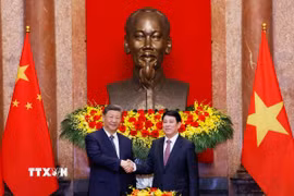 Chủ tịch nước Lương Cường và Tổng Bí thư, Chủ tịch nước Trung Quốc Tập Cận Bình chụp ảnh chung. (Ảnh: Lâm Khánh/TTXVN)
