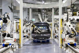 Hyundai Motor tiếp tục thúc đẩy sự hiện diện của Hàn Quốc này tại thị trường Đông Nam Á. (Ảnh: Yonhap/TTXVN)