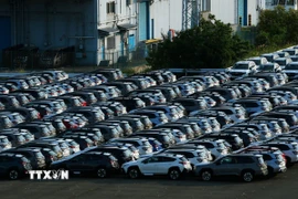 Ôtô chờ xuất khẩu tại cảng ở Yokohama, Nhật Bản. (Ảnh: THX/TTXVN)