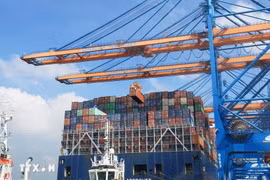 Bốc dỡ container lên tàu tại Cảng Quốc tế Gemalink, thị xã Phú Mỹ, tỉnh Bà Rịa-Vũng Tàu. (Ảnh: Hồng Đạt/TTXVN)