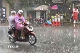 Ảnh minh họa. (Ảnh: Công Mạo/TTXVN)