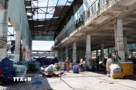Cảng cá Quy Nhơn tan hoang sau bão số 13. (Ảnh: Đình Quân/TTXVN)