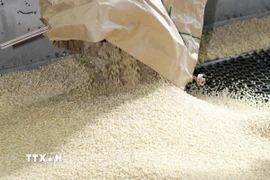 Gạo tại nhà máy xay sát ở Saitama, Nhật Bản. (Ảnh: Kyodo/TTXVN)