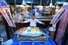 Một con cá ngừ vây xanh đã được bán với giá kỷ lục 510,3 triệu yen (khoảng 3,2 triệu USD). (Nguồn: Mainichi)