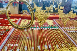 (Ảnh: Hương Giang/TTXVN)