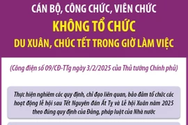 Cán bộ, công chức, viên chức không tổ chức du Xuân, chúc Tết trong giờ làm