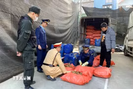 Lực lượng chức năng tỉnh Lạng Sơn kiểm tra số hàng 500kg chân giò lợn không rõ nguồn gốc xuất xứ. (Ảnh: TTXVN phát)