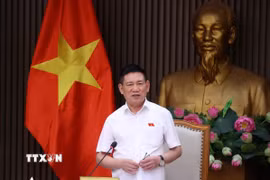 Phó Thủ tướng Hồ Đức Phớc phát biểu chỉ đạo. (Ảnh: Văn Điệp/TTXVN)