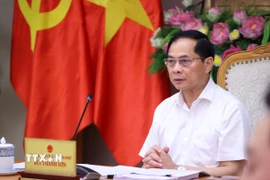 Phó Thủ tướng, Bộ trưởng Bộ Ngoại giao Bùi Thanh Sơn phát biểu chỉ đạo. (Ảnh: Văn Điệp/TTXVN)