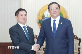 Phó Thủ tướng Hồ Đức Phớc hội kiến Thủ tướng Lào Sonexay Siphandone. (Ảnh: Đỗ Bá Thành/TTXVN)
