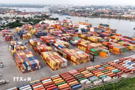 Hạ tầng cảng SOWATCO Long Bình, thành phố Thủ Đức. (Ảnh: Hồng Đạt/TTXVN)
