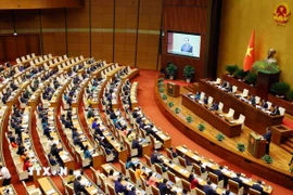 "Đối ngoại của Quốc hội trong kỷ nguyên vươn mình của dân tộc"