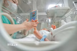 Phấn đấu tăng trung bình 2% tổng tỷ suất sinh trên toàn quốc mỗi năm. (Ảnh: Minh Quyết/TTXVN)