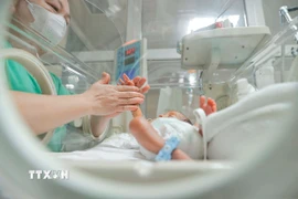 Phấn đấu tăng trung bình 2% tổng tỷ suất sinh trên toàn quốc mỗi năm. (Ảnh: Minh Quyết/TTXVN)