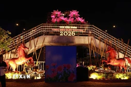 Khung cảnh Chợ hoa Xuân “Trên bến dưới thuyền” Tết Bính Ngọ 2026 được trang hoàng rực rỡ vào buổi tối. (Ảnh: Xuân Anh/TTXVN)