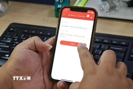 (Ảnh: Tuấn Anh/TTXVN)