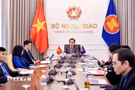 Đồng chí Lê Hoài Trung, Ủy viên Bộ Chính trị, Bộ trưởng Ngoại giao phát biểu trực tuyến tại Hội nghị Bộ trưởng Ngoại giao ASEAN đặc biệt về tình hình Trung Đông. (Ảnh: An Đăng/TTXVN)
