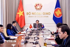 Đồng chí Lê Hoài Trung, Ủy viên Bộ Chính trị, Bộ trưởng Ngoại giao phát biểu trực tuyến tại Hội nghị Bộ trưởng Ngoại giao ASEAN đặc biệt về tình hình Trung Đông. (Ảnh: An Đăng/TTXVN)