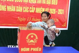 Cử tri bản Co Phạt, xã Môn Sơn (Nghệ An) bỏ phiếu bầu đại biểu Quốc hội khóa XVI và đại biểu HĐND các cấp nhiệm kỳ 2026-2031. (Ảnh: Văn Tý/TTXVN)