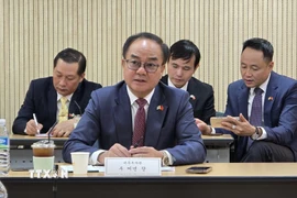 Thứ trưởng Bộ Nội Vụ Việt Nam Vũ Chiến Thắng trong buổi làm việc với Bộ Lao động và Việc làm Hàn Quốc. (Ảnh: Đức Thắng/TTXVN)