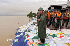 Lực lượng quân đội ứng phó khẩn cấp chống sạt lở bờ kè An Lương và bãi biển Tân Thành, An Bàng ở thành phố Đà Nẵng. (Ảnh: Trần Tĩnh/TTXVN)
