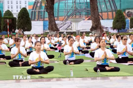Đồng diễn Yoga tại Ngày Quốc tế Yoga. (Ảnh: Trần Trang/TTXVN)