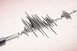 Ảnh minh họa. (Nguồn: Freepik)