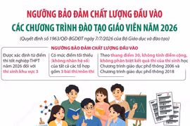 Ngưỡng bảo đảm chất lượng đầu vào các chương trình đào tạo giáo viên năm 2026