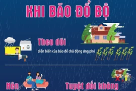 Kỹ năng an toàn cần biết khi bão đổ bộ