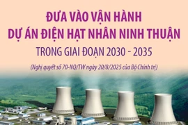 Đưa vào vận hành dự án điện hạt nhân Ninh Thuận trong giai đoạn 2030-2035