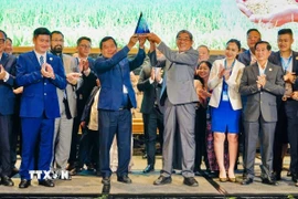 Gạo ST25. (Nguồn: Vietnam+)