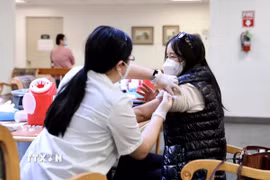 (Ảnh: THX/TTXVN)