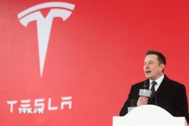 Ông Musk tiết lộ Tesla sẽ chi khoảng 10 tỷ USD cho phần cứng Nvidia tính đến cuối năm nay. (Ảnh: THX/TTXVN)