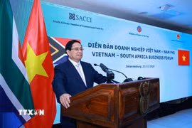 Thủ tướng Phạm Minh Chính phát biểu tại Diễn đàn doanh nghiệp Việt Nam-Nam Phi. (Ảnh: Dương Giang/TTXVN)