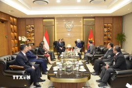 Quang cảnh buổi tiếp xã giao song phương. (Ảnh: TTXVN phát)