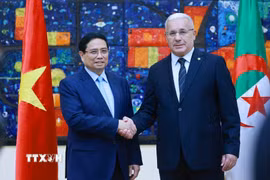 Thủ tướng Phạm Minh Chính hội kiến Chủ tịch Quốc hội Nhân dân Algeria (Hạ viện Algeria) Brahim Boughali. (Ảnh: Dương Giang/TTXVN)
